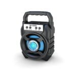 Speaker Small