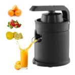DSP Electric Juicer - Image 2