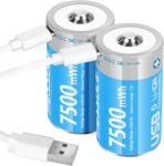 Rechargeable Battery Type-c D R20