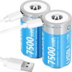 Rechargeable Battery Type-c D R20