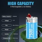 Rechargeable Battery Type-c D R20 - Image 6